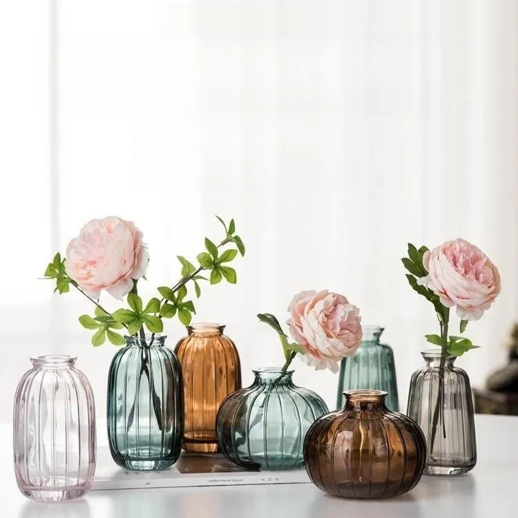 Pronto per la spedizione nuovo vaso di vetro economico soffiato creativo decorazione della tavola di casa piccolo vaso di vetro Color fiore trasparente