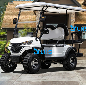 DOT Certification 2 Seats Golf Buggy/Community Use Electromagnetic Lifted Hunting Car/Large Heightened Golf Cart for Sale - Product Image 5