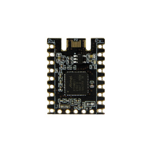 Scheda di sviluppo modulo LILYGO T-SAM21 ATSAMD21 MCU per dispositivo Arduin fai da te IOT