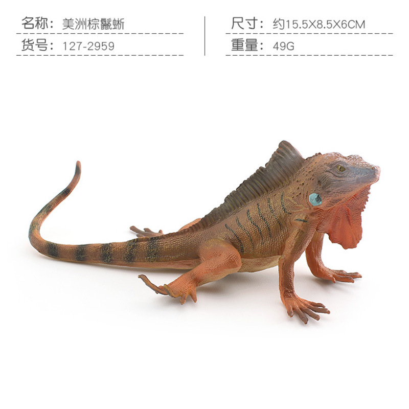 PL127-2959 American Brown iguana 49g