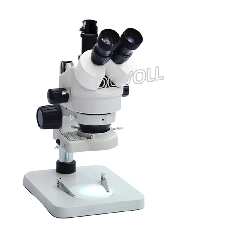Microscopio estéreo binocular óptico con cámara digital