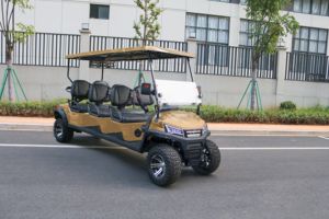 10 người Golf <span class=keywords><strong>Cart</strong></span> với cabin kèm theo & điều hòa không khí, điện - Product Image 4