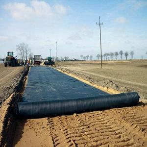 HDPE plastik membran kaplama 1mm baraj astar 1.5mm HDPE geomembran 2mm gölet Liner fiyat madencilik projesi için - Product Image 2