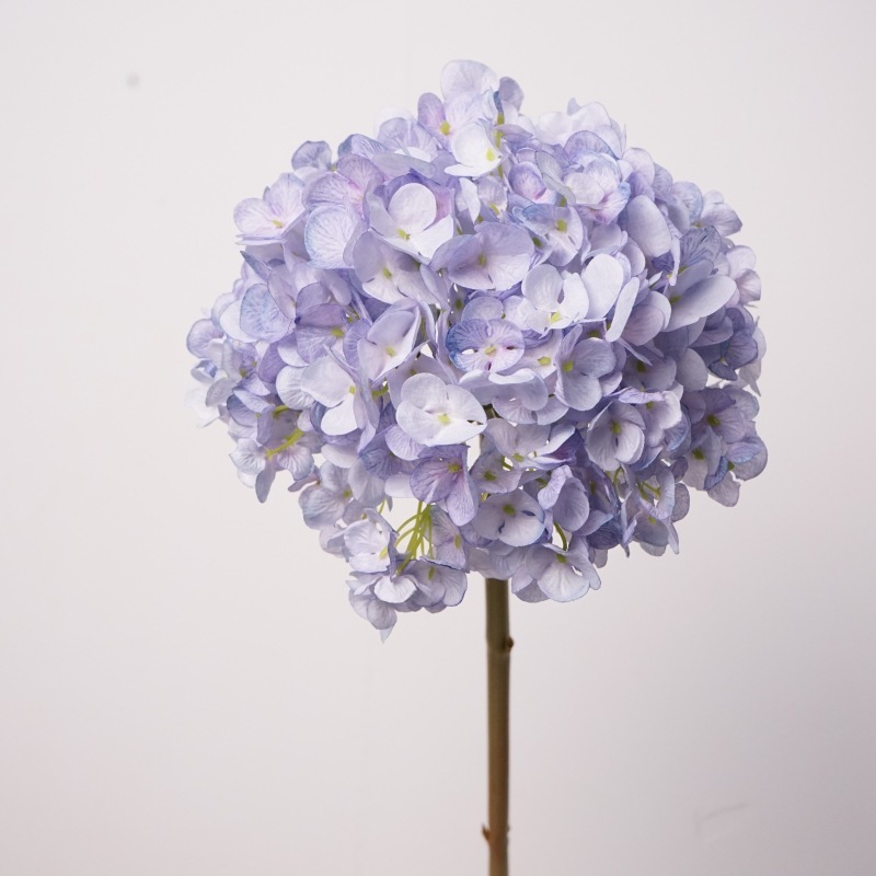 Ortensia olandese ramo grande - viola scuro