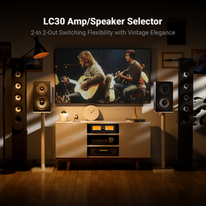 Fosi <strong>Audio</strong> LC30 <strong>2</strong>-in-<strong>2</strong>-out Speaker Switcher Dual Analog VU Meter DB Panel Display Remote <strong>Audio</strong> Selector Amplifier - Product Image 4