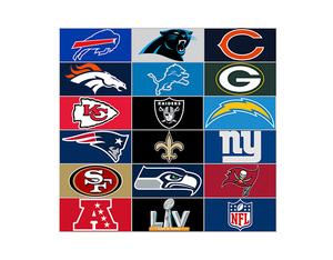 NFL 축구 럭비 플래그 사용자 정의 디지털 인쇄 저렴한 도매 뜨거운 판매 모든 팀 페넌트에 대한 2023 하이 퀄리티 3x5ft - Product Image 2