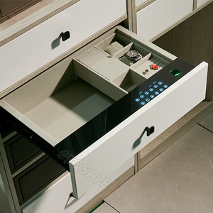 時計やジュエリーに安全なCEQSAFEアメリカンハイエンドセキュリティハンドガン引き出し - Product Image 6