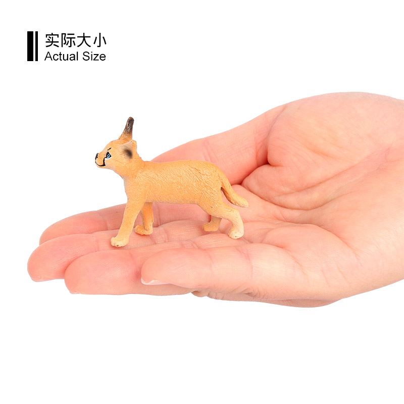 3098 Cuccioli di gatto Caracal
