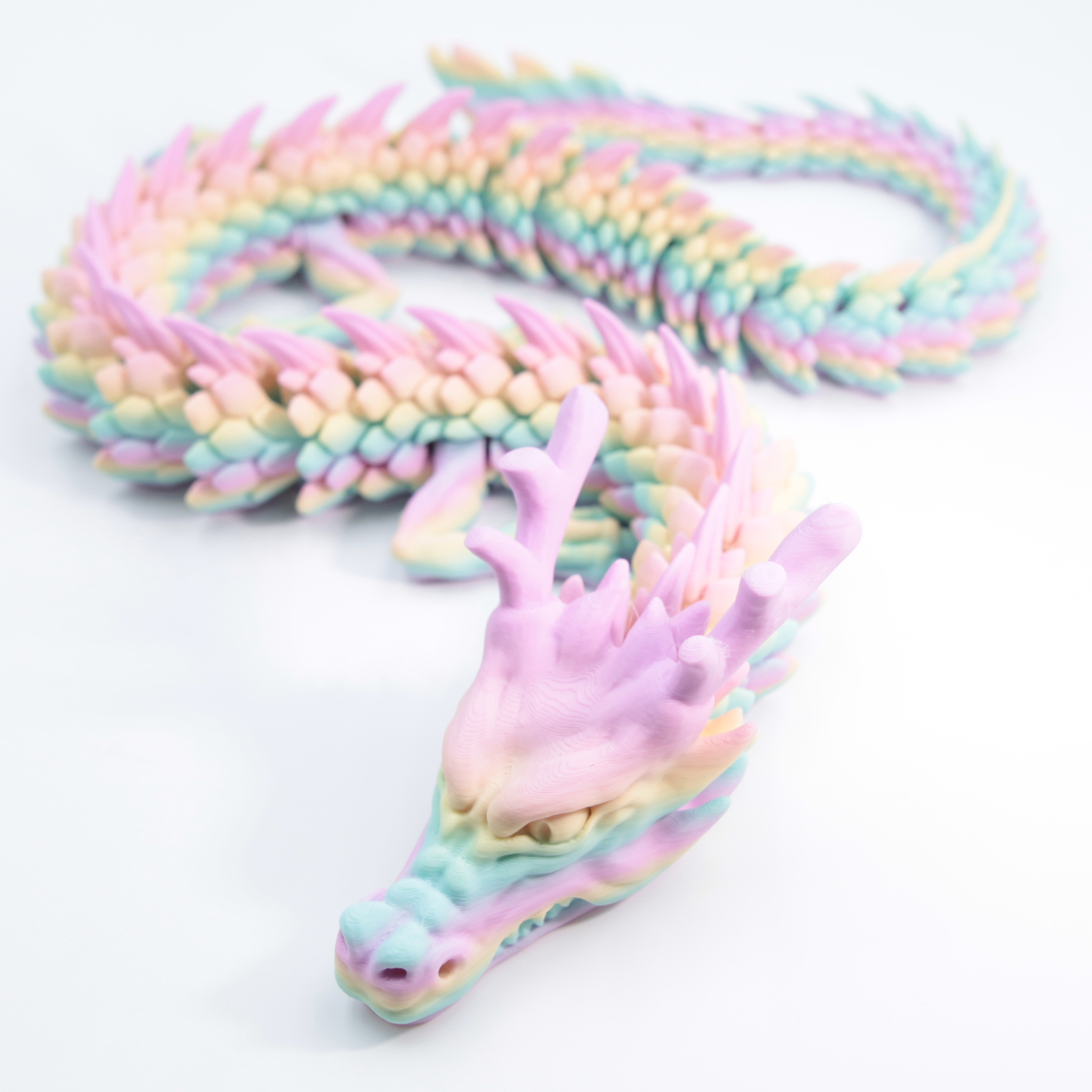rainbow dragon