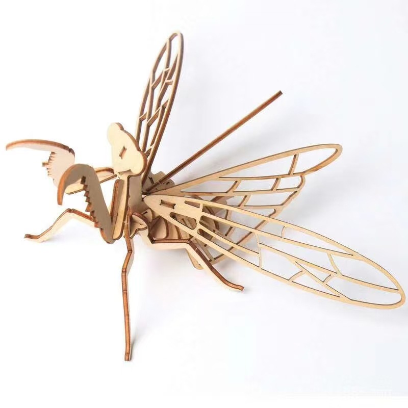 praying mantis