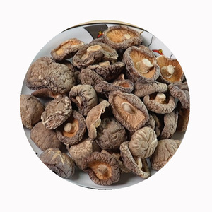 Cao cấp Hữu Cơ trồng khô <span class=keywords><strong>Shiitake</strong></span> Hoa NấM (donko) | 3-4cm dày cap nứt bề mặt | Top Grade cho món quà cho người sành ăn - Product Image 6