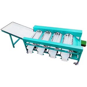 Máquina clasificadora automática de ajo y frutas Máquina clasificadora de frutas eléctrica de alta eficiencia Buen precio para la venta