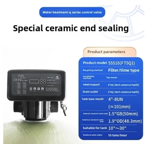 Runxin F75Q1 F75Q3 10 tonnellate/ora automatico manuale addolcitore dell'acqua valvola di controllo per 10T macchine per il trattamento delle acque - Product Image 5