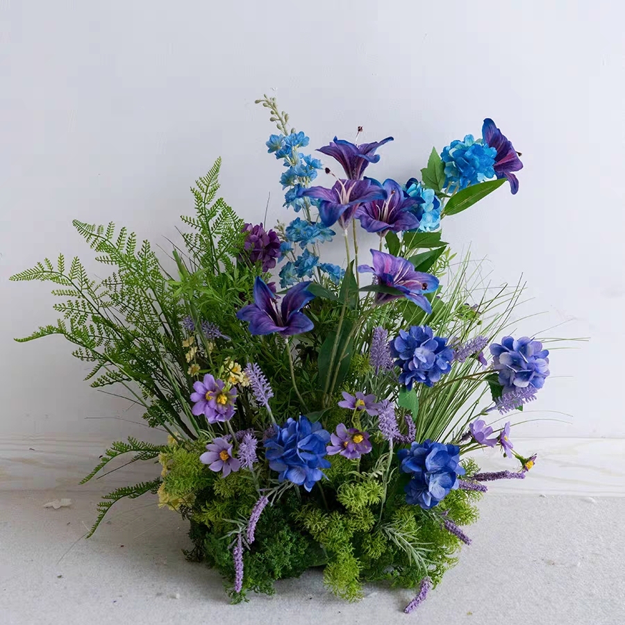 Erba+viola