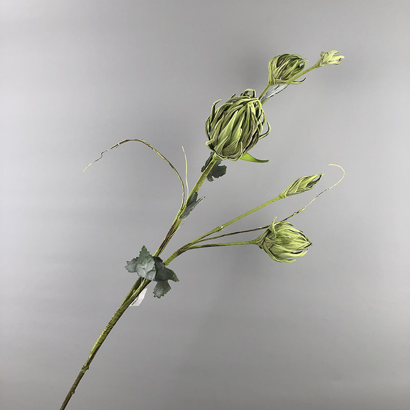 6647 vert