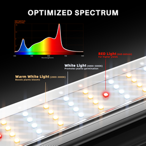 Akıllı APP kontrol 730W SE7000 Samsung LM301H EVO örümcek çiftçi Led ışık büyümek tam spektrum ticari ışık büyümek - Product Image 2