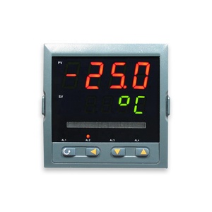El regulador de presión Pokcenser OEM muestra la presión y la temperatura y emite los relés de control oportunos - Product Image 1