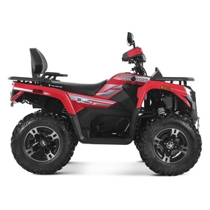 タオモーター自動チェーンドライブガス燃料パワー4ウィーラー合金リムLEDライトファームATV 4X4 300cc ATV EPA EEC T3B ECE付き - Product Image 2
