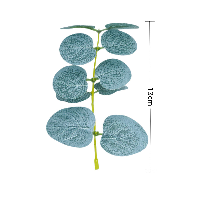 5 feuilles d'eucalyptus 10 tiges