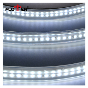 FLOWER ILLUMINATION Outdoor IP68 Classic <strong>LED</strong> Strip Light Normally on 120LEDs/m Facade Building Outline Lighting Strip Light - Product Image 1