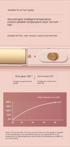 เครื่องเป่าผมและเครื่องยืดผม2ใน1เครื่องหนีบผมสไตล์คู่แบบมืออาชีพ - Product Image 6