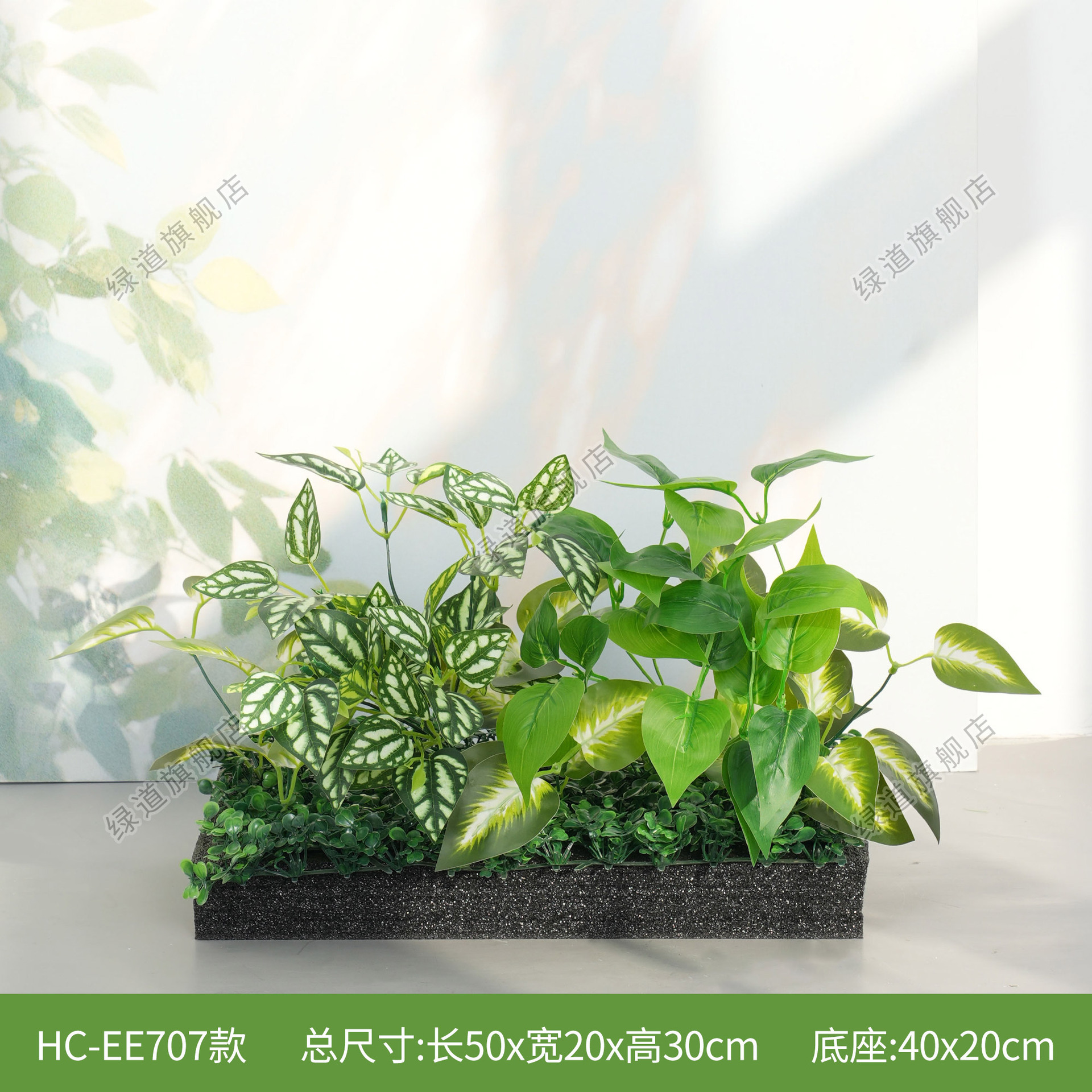HC-EE707