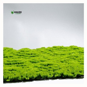 Yüksek kaliteli yapay yosun, yosunu her zaman yeşil tutmak için sulama, budama ve sıfır güneş ışığı gerektirmez. - Product Image 1