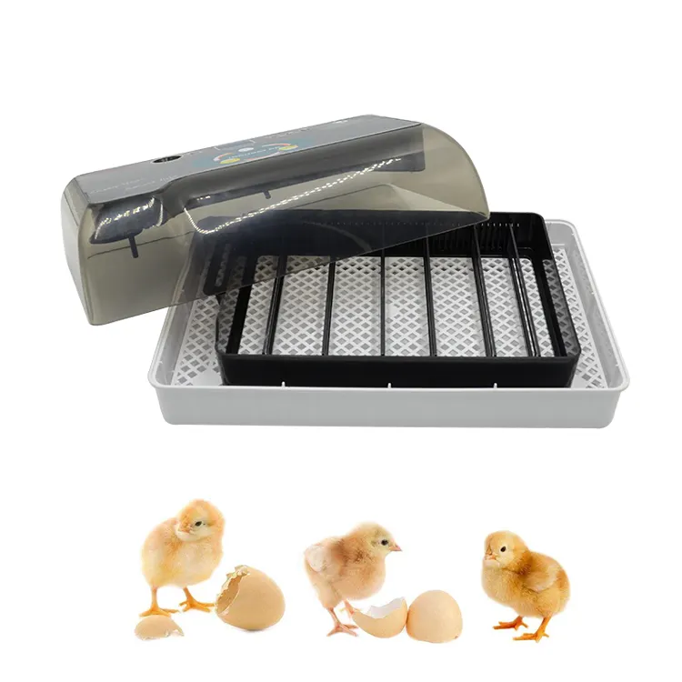 新発売ミニ卵インキュベーター12鶏卵自動家禽インキュベーター孵化機