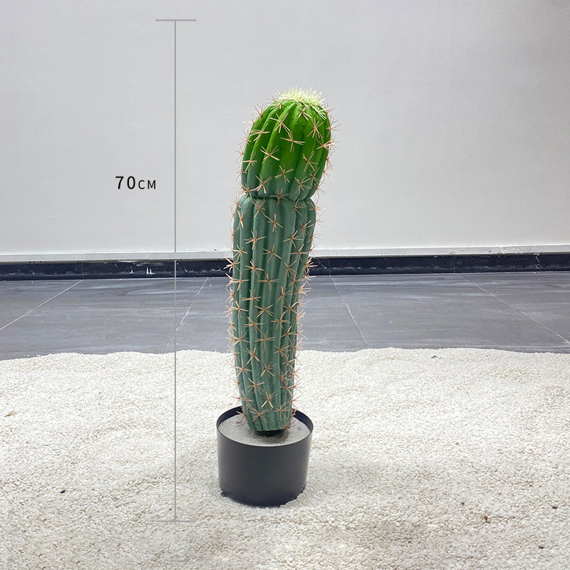 70cm