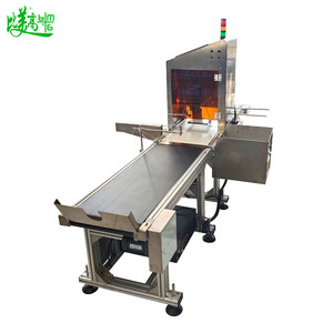Industrielle Kamera Visuelle Inspektion Entfernungs maschine 220V Automat isierte Vision Qualitäts kontrolle Detektor Ausrüstung Datums entfernungs system - Product Image 6