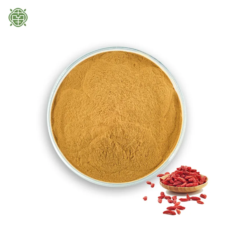 Nanqiao pabrik Tiongkok Polysaccharide 10% diekstrak dari obat tradisional Cina Goji Wolfberry bubuk ekstrak