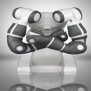 Otomatik işbirliği Robot bu düşük maliyetli endüstriyel Robot kolu Yumi olarak Cobot Robot