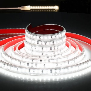Shenzhen <strong>LED</strong> <strong>Ruban</strong> 2835 SMD 220V <strong>LED</strong> Strip Pvc Extrusion IP67 Waterproof Outdoor Use Strip <strong>Led</strong> Light 220V AC Input <strong>Led</strong> Strip - Product Image 1