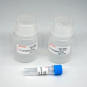 5 U/UL, 1000 U 50000u đóng gói số lượng lớn foregene Vàng T4 DNA ligase cho nhân bản cdna - Product Image 3