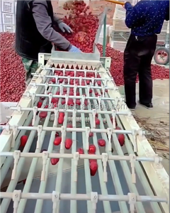 High Pressure Fruit <strong>Sorting</strong> <strong>Machine</strong> Fruit Calibrator Electronic Fruit Weight <strong>Sorting</strong> <strong>Machine</strong> - Product Image 6