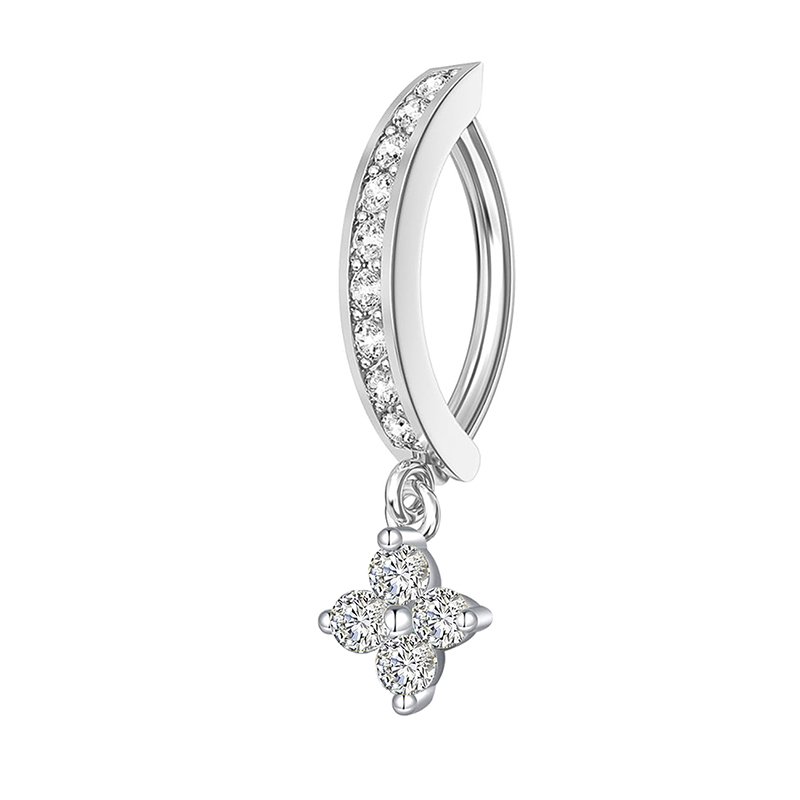 Silver NO 3
