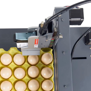 Wiseprint Tij Expiry Date Printing <strong>Machine</strong> Egg Number Batch Coding Laser Marking <strong>Machine</strong> <strong>Hs</strong> <strong>Code</strong> CM-WPEGG01 Egg Coding <strong>Machine</strong> - Product Image 2