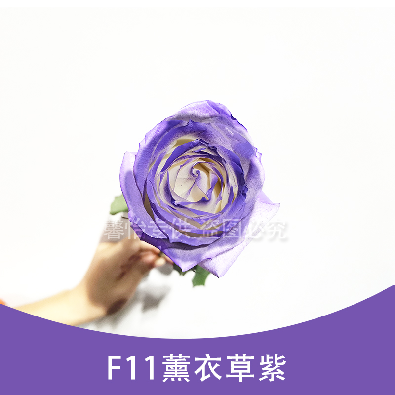 F11 Light Purple