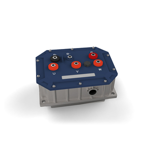 Controlador de velocidad de motor BLDC personalizado, controlador de motor de CC para vehículo - Product Image 1