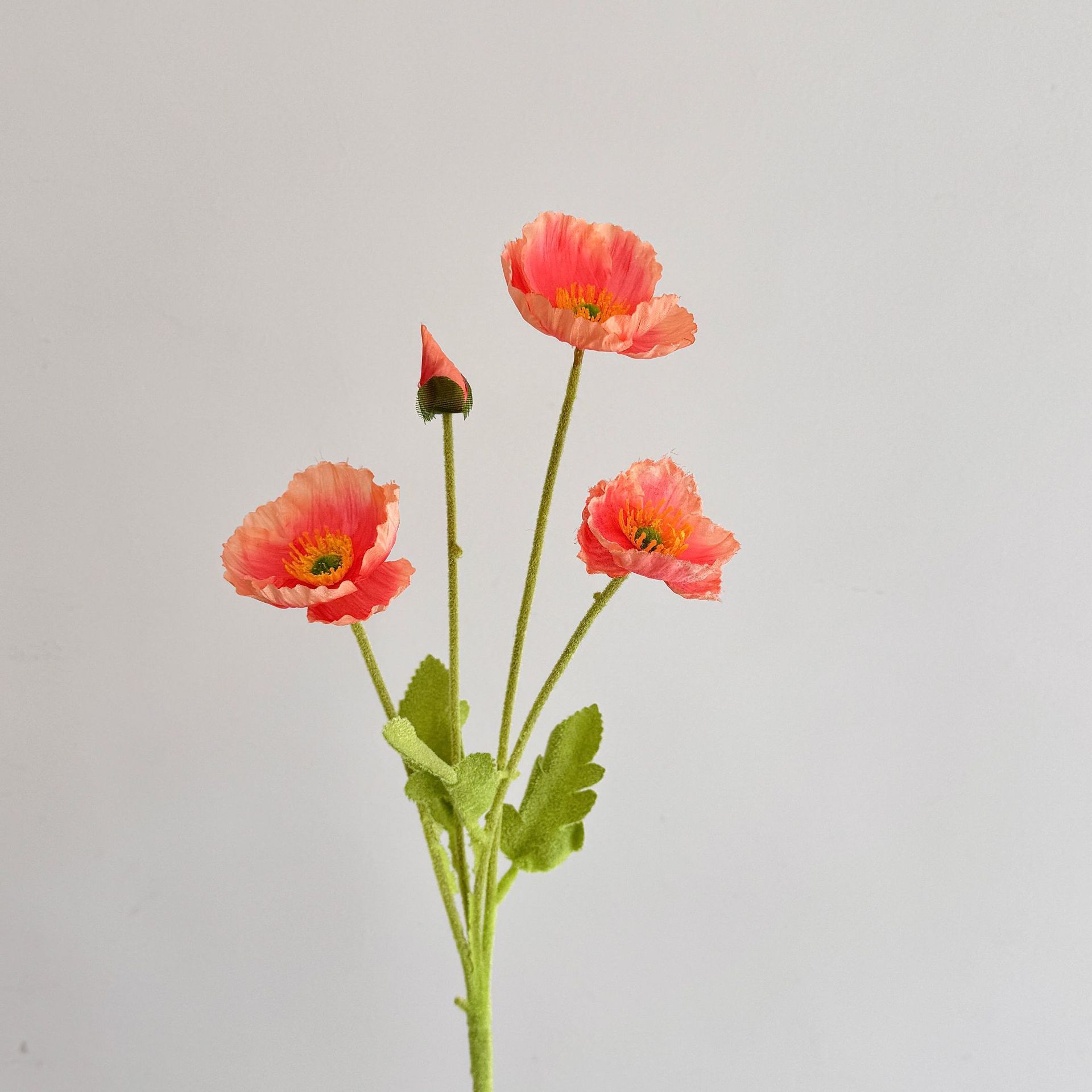 Rosso anguria