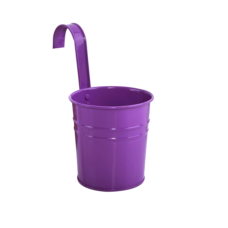 Pourpre