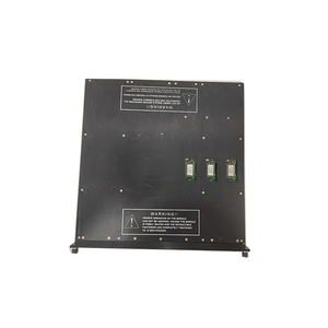 3706E | TRICONEX 3700 | TRICONEX 3701 | デジタル入出力モジュール - Product Image 4