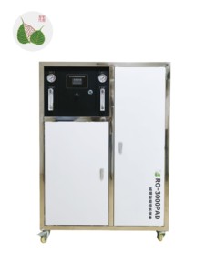 储水500LPH 1000LPH纯水合碱性抗氧化水离子发生器小袋制水机 - Product Image 3