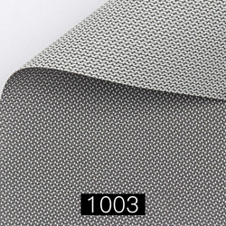 1003
