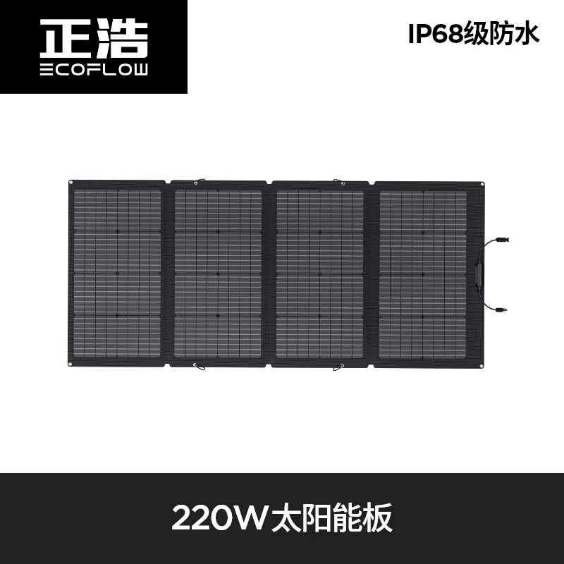 Panneau solaire EcoFlow 220 watts