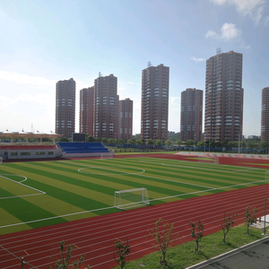 人工芝グリーンカーペット人工芝付きUV耐性スポーツフィールド屋外芝