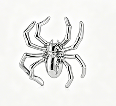 Araignée argentée