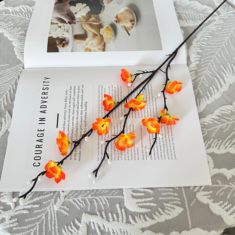 Mini Chimonanthe d'hiver, Orange