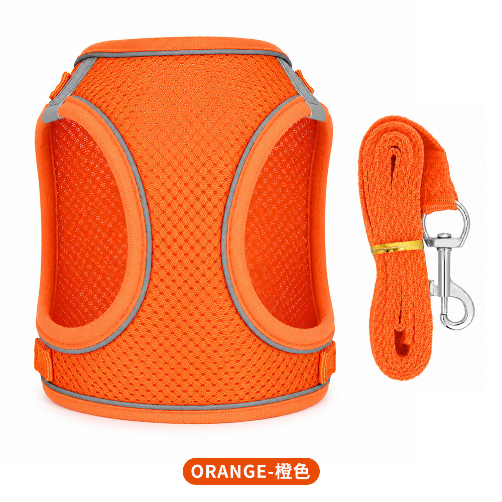 orange color