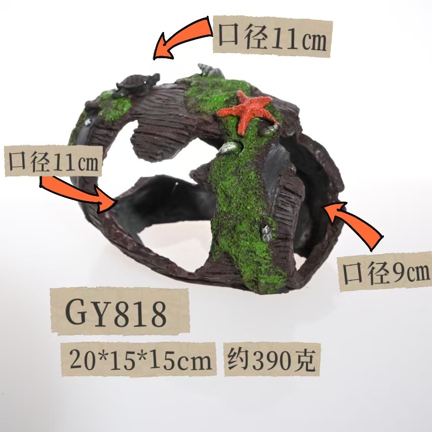 Gy818